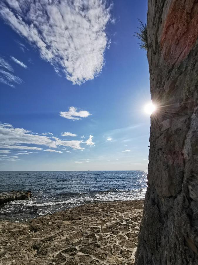 Nina Deluxe Superior 5 Star Apartment, Your Piece Of Heaven By The Sea & Park Novigrad  ภายนอก รูปภาพ