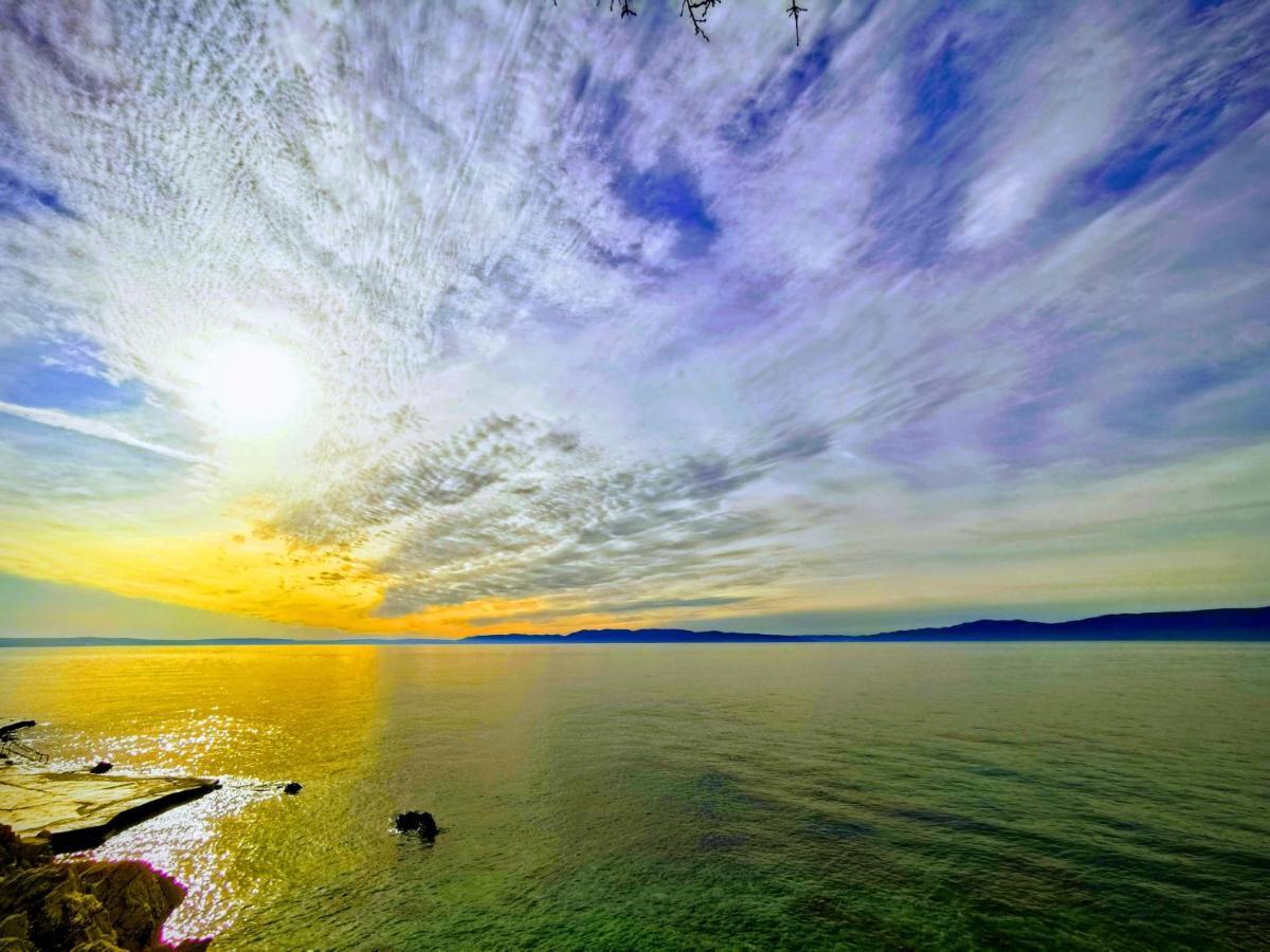 Nina Deluxe Superior 5 Star Apartment, Your Piece Of Heaven By The Sea & Park Novigrad  ภายนอก รูปภาพ